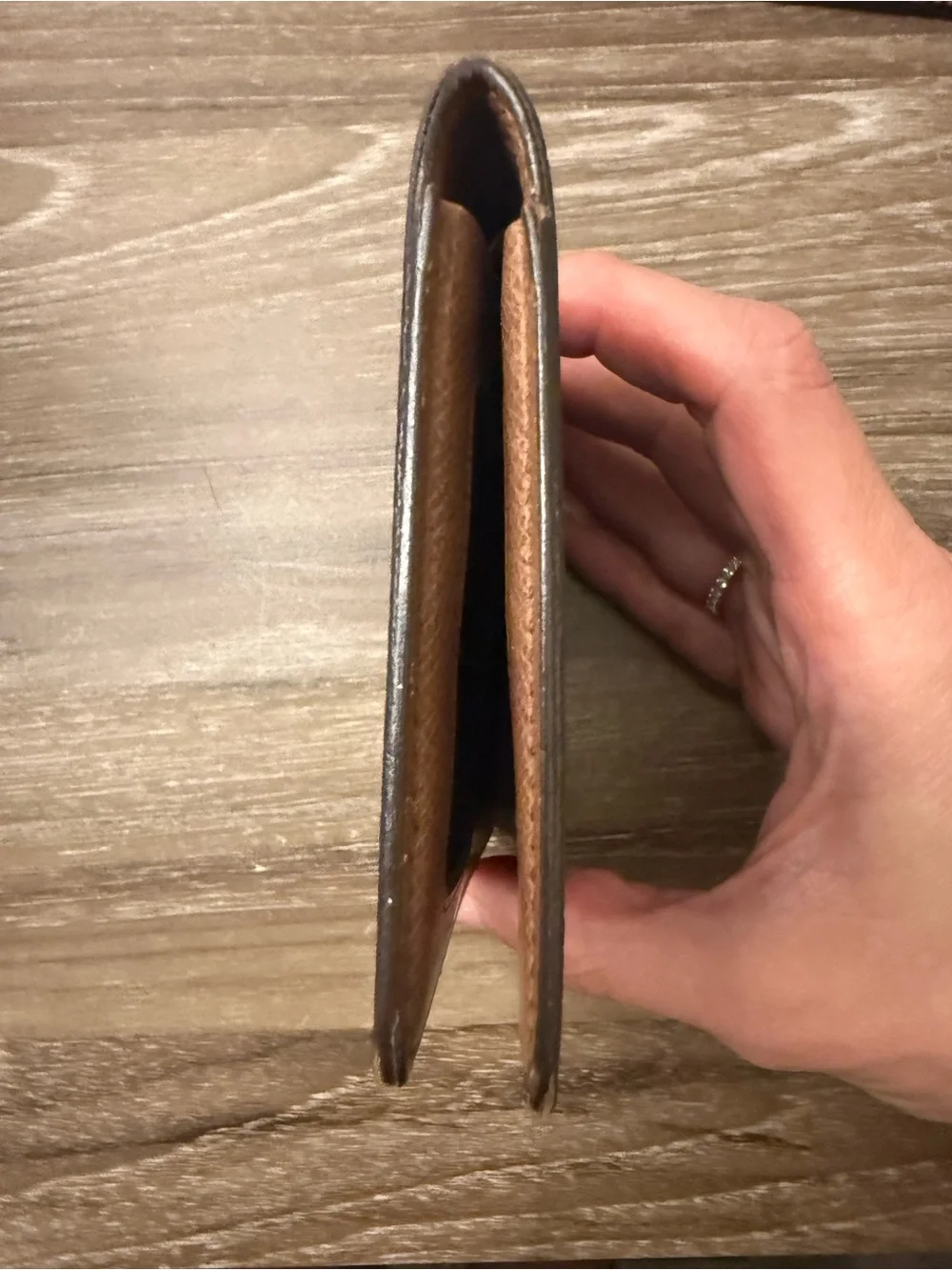 Louis Vuitton classic louis